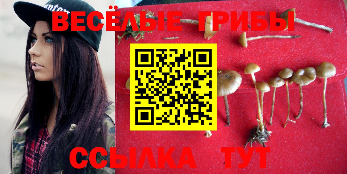 Карасук  Каннабис  COCAIN  Мефедрон   Амфетамин кристаллы  ГАШ  Вход с VPN  Мефедрон 