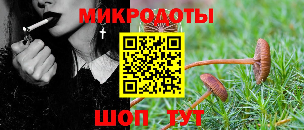 Галлюциногенные грибы Cubensis Карасук