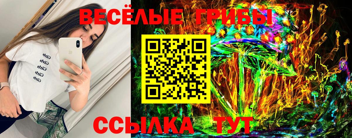 Псилоцибиновые грибы мухоморы  Вход с VPN  Карасук  Псилоцибиновые грибы мухоморы 